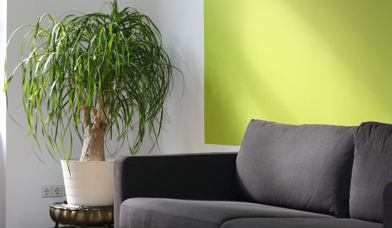 furniture image stock image